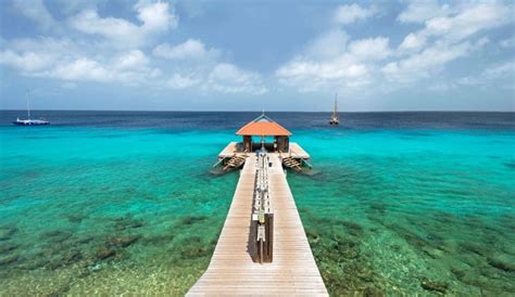 10 Best Bonaire All Inclusive Resorts (For Fun on Land & Underwater)