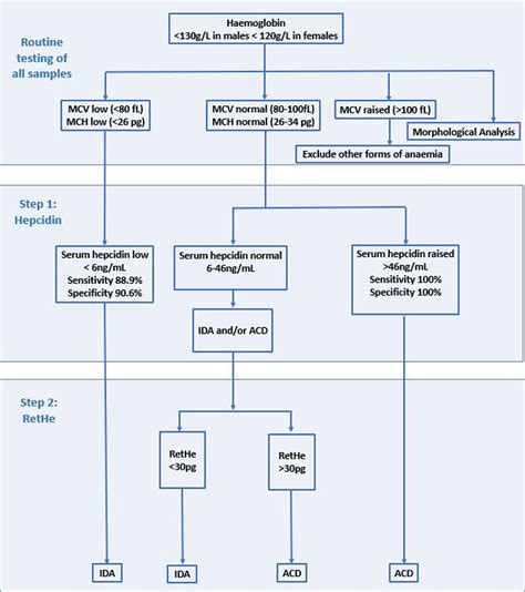 View 30 High Ferritin Level Differential Diagnosis - learnmediabacks