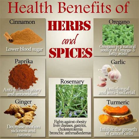 Benefits of Herbs and Spices | Naturopathy &..... | Pinterest