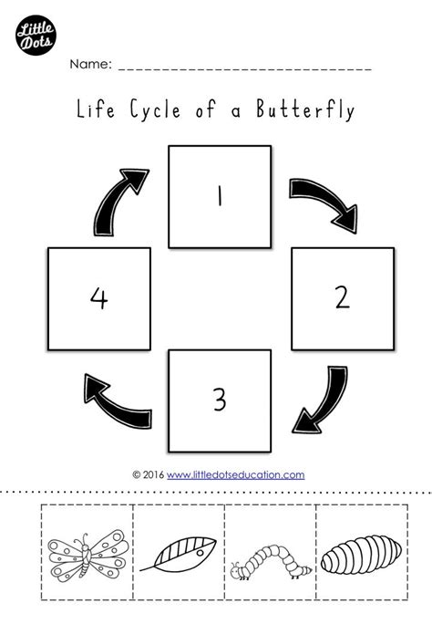 The Very Hungry Caterpillar Theme: Free Life Cycle of a Butterfly Prin ...