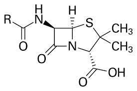 Penicillin: History, Structure, Production and Recovery