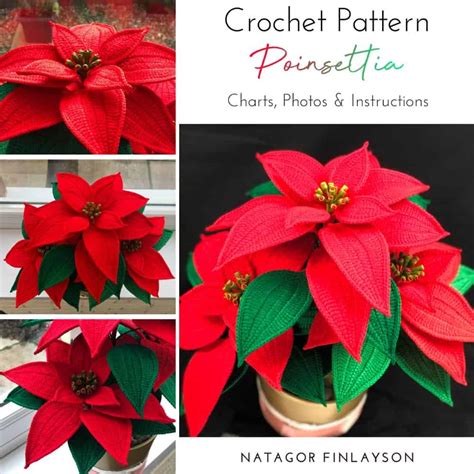 Crochet Poinsettia Pattern - Natagor Finlayson