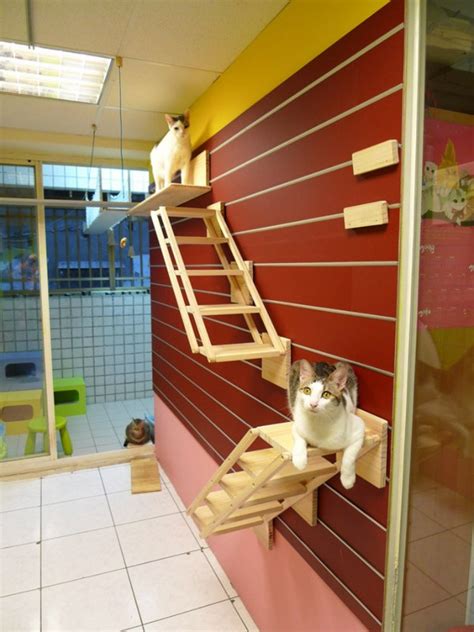 Catswall - A Modular Cat Climbing Wall Perfect for You Pet