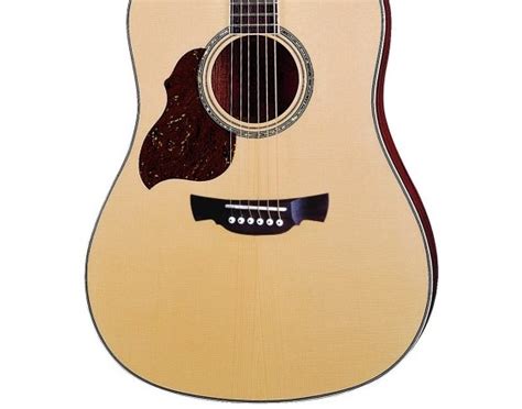 Left-Handed Acoustic Guitars (19 products) - Audiofanzine