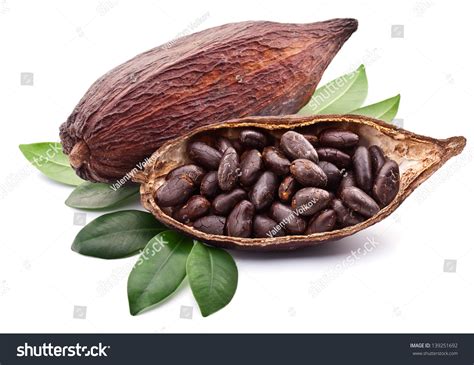 121,764 Cocoa Beans Images, Stock Photos & Vectors | Shutterstock