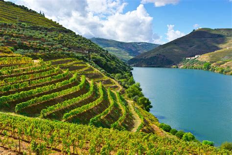 15 Best Wine Regions in The World For A Group Trip