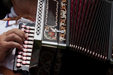 17 Popular Types of Accordions Explained - VerbNow