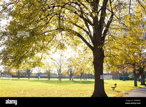 Ilford, east London Stock Photo - Alamy