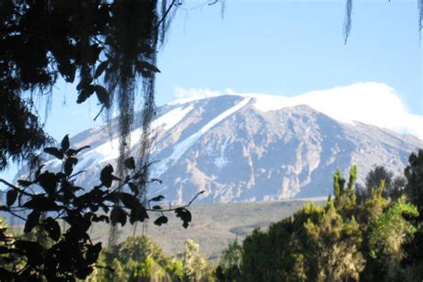 20 Amazing Kilimanjaro Facts and Figures - Mountain IQ