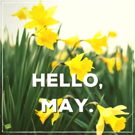 Hello, May | Quotes About Spring in Bloom