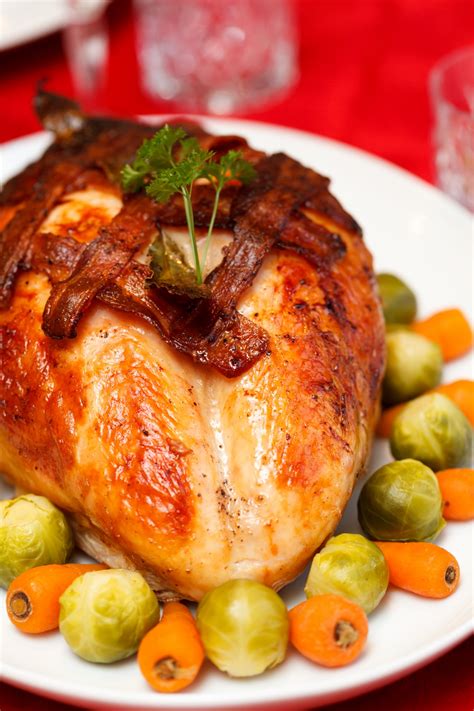 Christmas Turkey Free Stock Photo - Public Domain Pictures