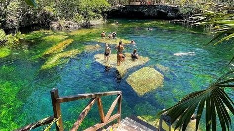 Cenote Jardín del Edén, uno de los cenotes más grandes de la Riviera ...