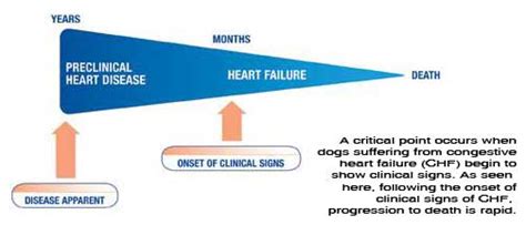 Vetmedin Dosing Chart