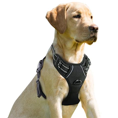 BARKBAY No Pull Dog Harness Front Clip Heavy Duty Reflective Easy Control Handle for Large Dog ...