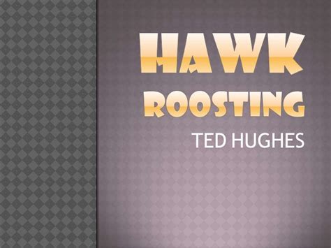 Hawk roosting by Ted Hughes