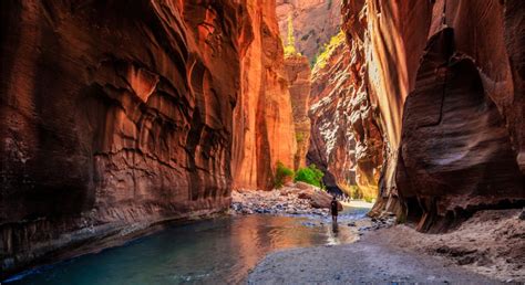 The Narrows hike in Zion National Park: the complete guide