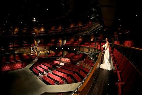 Royal Shakespeare Theatre Auditorium | Royal shakespeare company, Shakespeare's birthplace ...