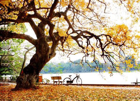 Enjoy the peaceful beauty of autumn in the heart of Vietnam | Vietnam eVisa