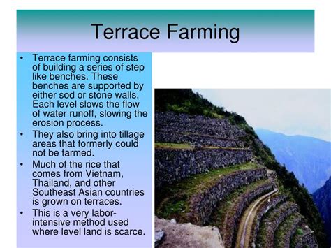 PPT - Farming Techniques PowerPoint Presentation, free download - ID:436527