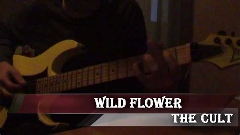 The Cult - Wild Flower (Cover) - YouTube