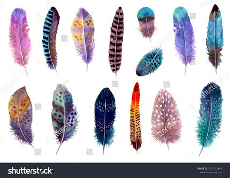 Watercolor Feathers Set Isolated On White Stock Illustration 1312112846 | Shutterstock