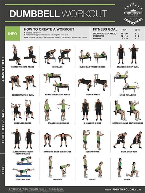 FTDL Dumbbell High Intensity Workout - Laminated Poster / Chart - Strength Training - Core ...