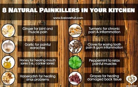 Natural Painkillers - Homestead & Survival