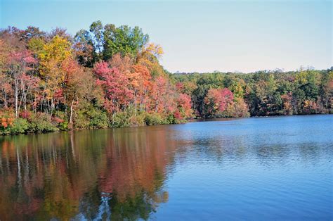 French Creek State Park | Natural Atlas