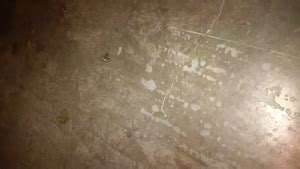Cleaning indoor concrete floor without damaging it - Home Improvement Stack Exchange