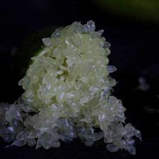 Australian Finger Lime (Caviar Lime) and how to use it