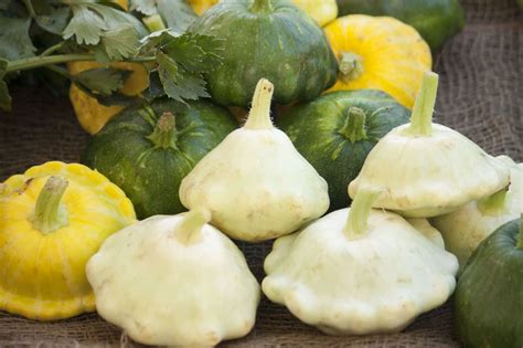 10 Pattypan Squash Recipes You Need to Make for Dinner