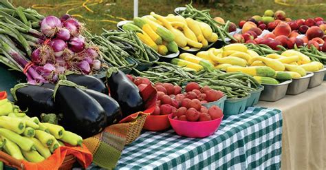 Fall Harvest Crops Across the U.S. | Cybele Pascal