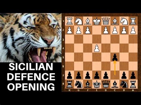 Sicilian Defence Chess Opening - Dragon Najdorf Scheveningen Paulsen Pelikan Sveshnikov - part 1 ...