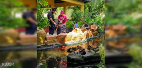 Langkawi Wildlife Park Admission Ticket in Malaysia