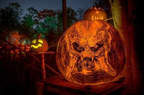 Pin by A.D. on Predator & Alien | Pumpkin carving, Pumpkin art, Amazing pumpkin carving