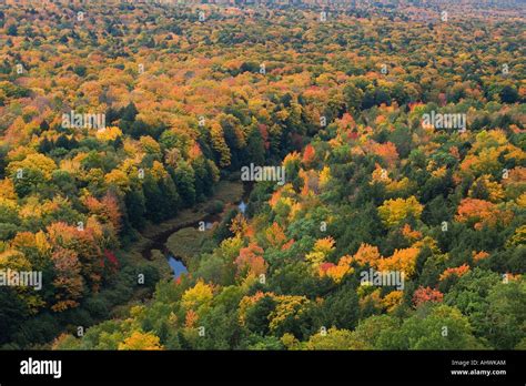 Fall color at Porcupine Mountains State Park in Michigan Upper Peninsula Stock Photo - Alamy