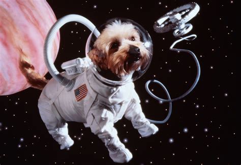 Freeze-Dried Sperm Bank May Help Put Animals On Other Planets | HuffPost