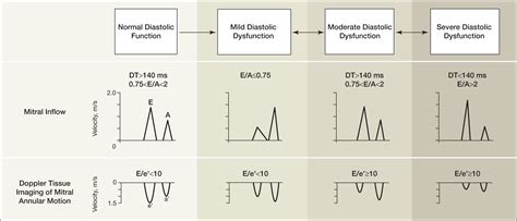 Systolic and Diastolic Heart Failure in the Community | Cardiology | JAMA | JAMA Network