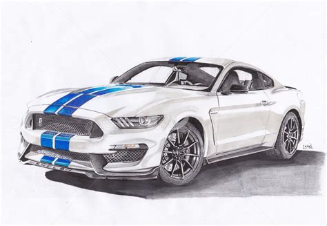 Mustang Drawing at PaintingValley.com | Explore collection of Mustang Drawing