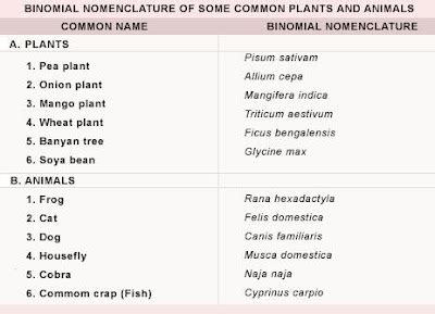 IT'S ALL ABOUT SCIENCE: Binomial Nomenclature