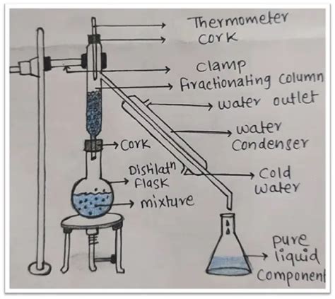 NCERT Exemplar Solution Class 9 Science Chapter 2 Is Matter Around Us Pure