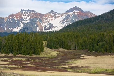 Entire San Juan National Forest Closes for Fire Danger