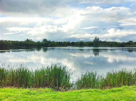 Hosehill Lake, Theale, Berkshire by Simon_Marlow | ePHOTOzine