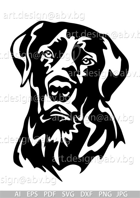 Vector DOG Labrador Retriever AI eps pdf svg dxf png | Etsy