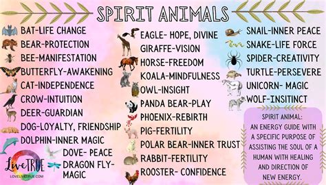 Spirit Animals Meanings, Energy, & Quick Reference Guide