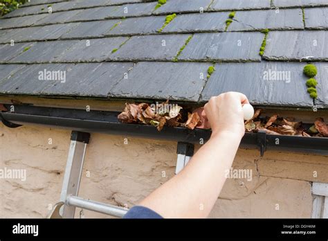 Blocked guttering hi-res stock photography and images - Alamy