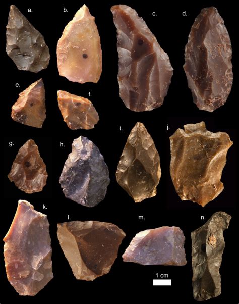 New study tracks the evolution of stone tools – Tech Botic