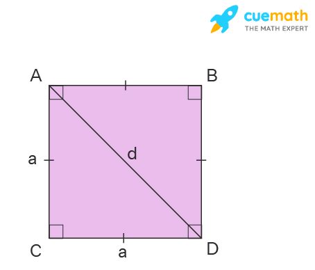 Angles of Square - Interior Angles, Diagonal Angles, and Sum of Angles