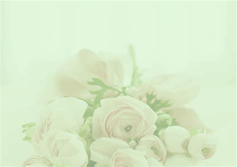 Pastel Roses Background · Free photo on Pixabay