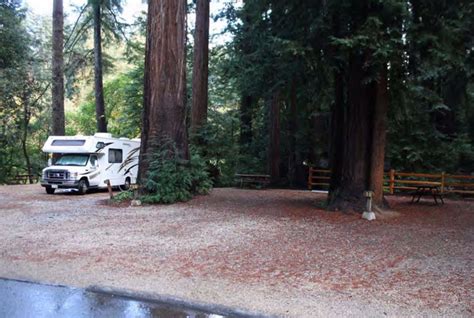 Santa Cruz Redwoods RV Resort - Campsite Photos